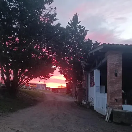 A La Ferme Equestre Cintegabelle